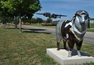 Goodfellow AFB Sheep Ewe