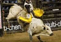Rodeo